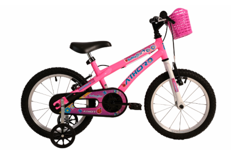 BICICLETA INFANTIL
